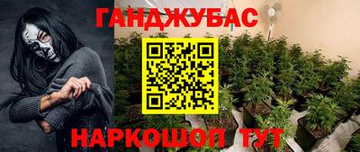дмт Гусев